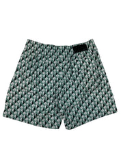 Amiri 'AAA' Mint Trunks